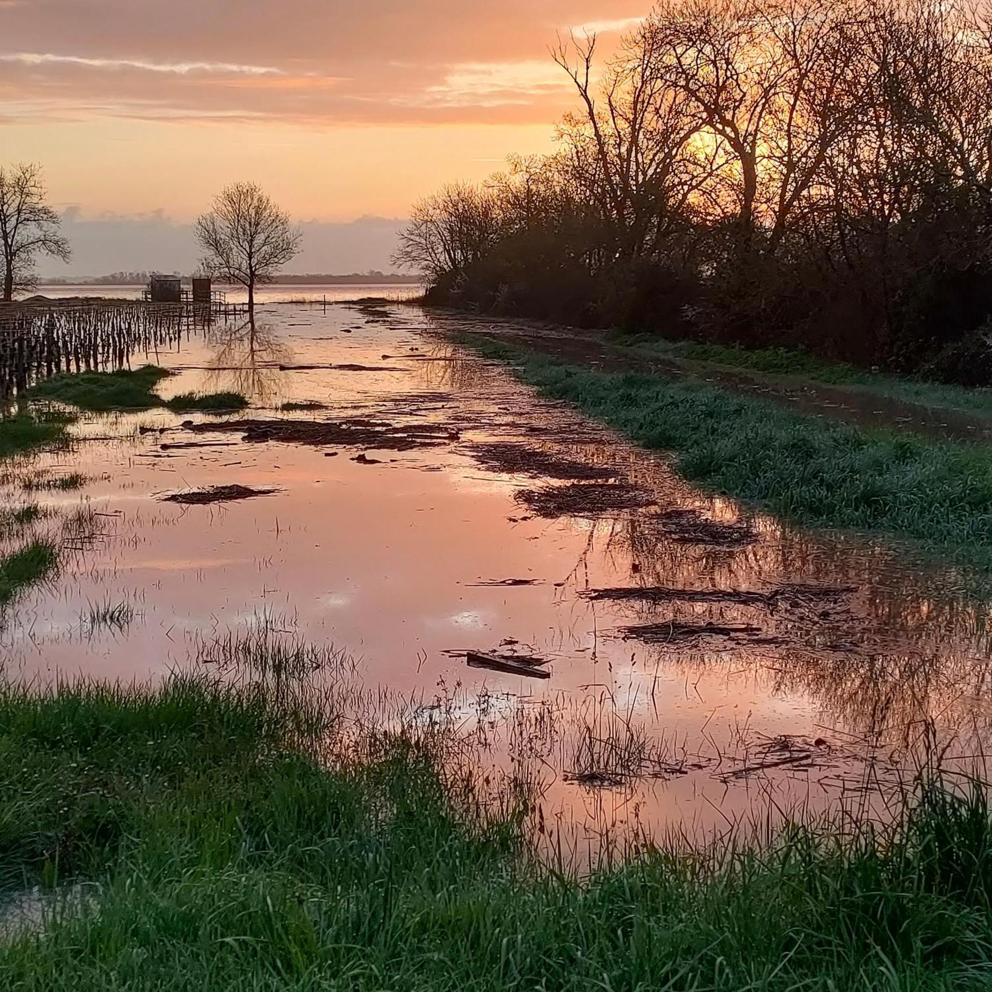 Villa Casa Tranquila Cerca El Estuario à Pauillac Extérieur photo